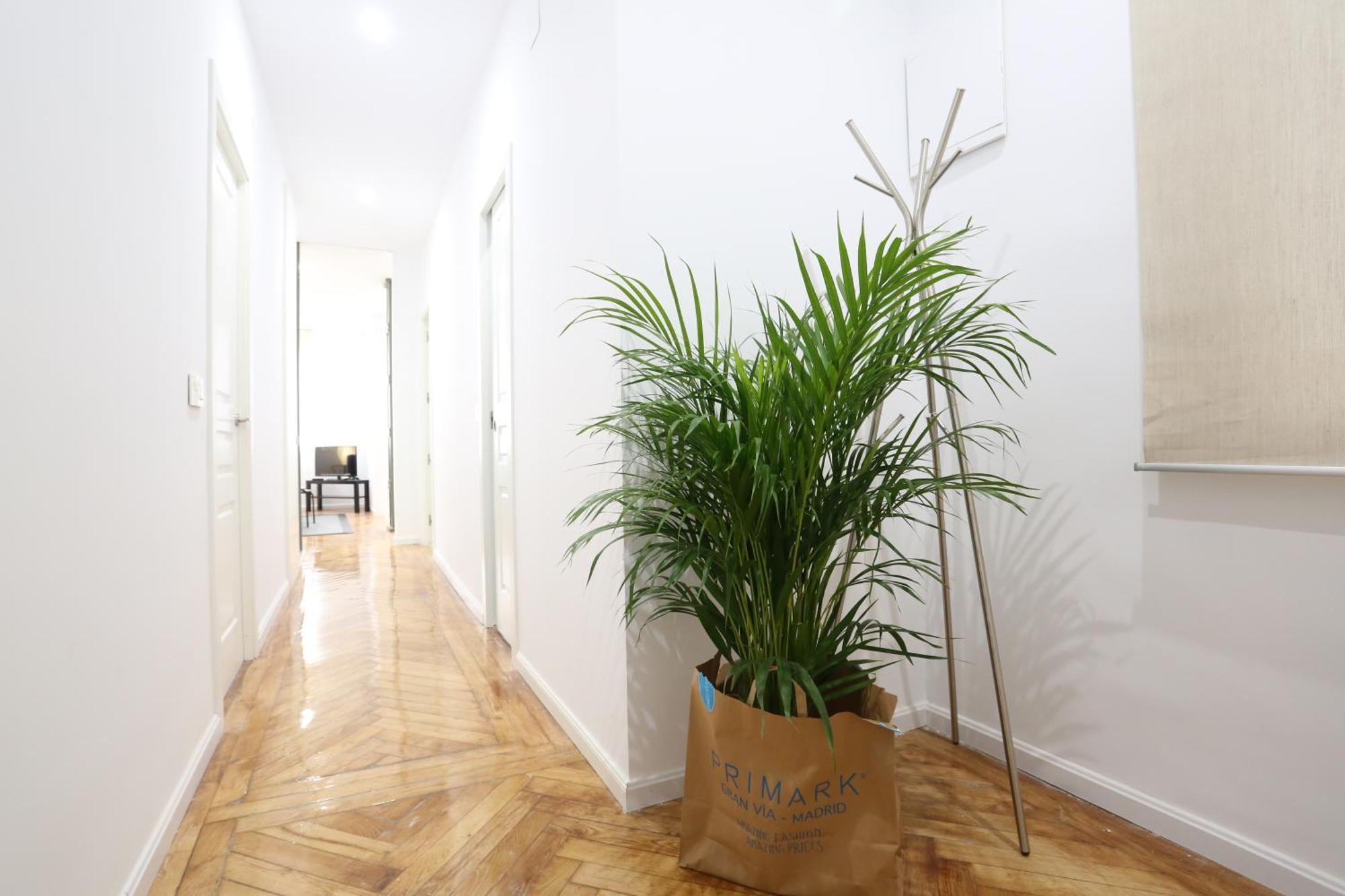Sol Apartment Deluxe-Nun-Arce Madrid Luaran gambar